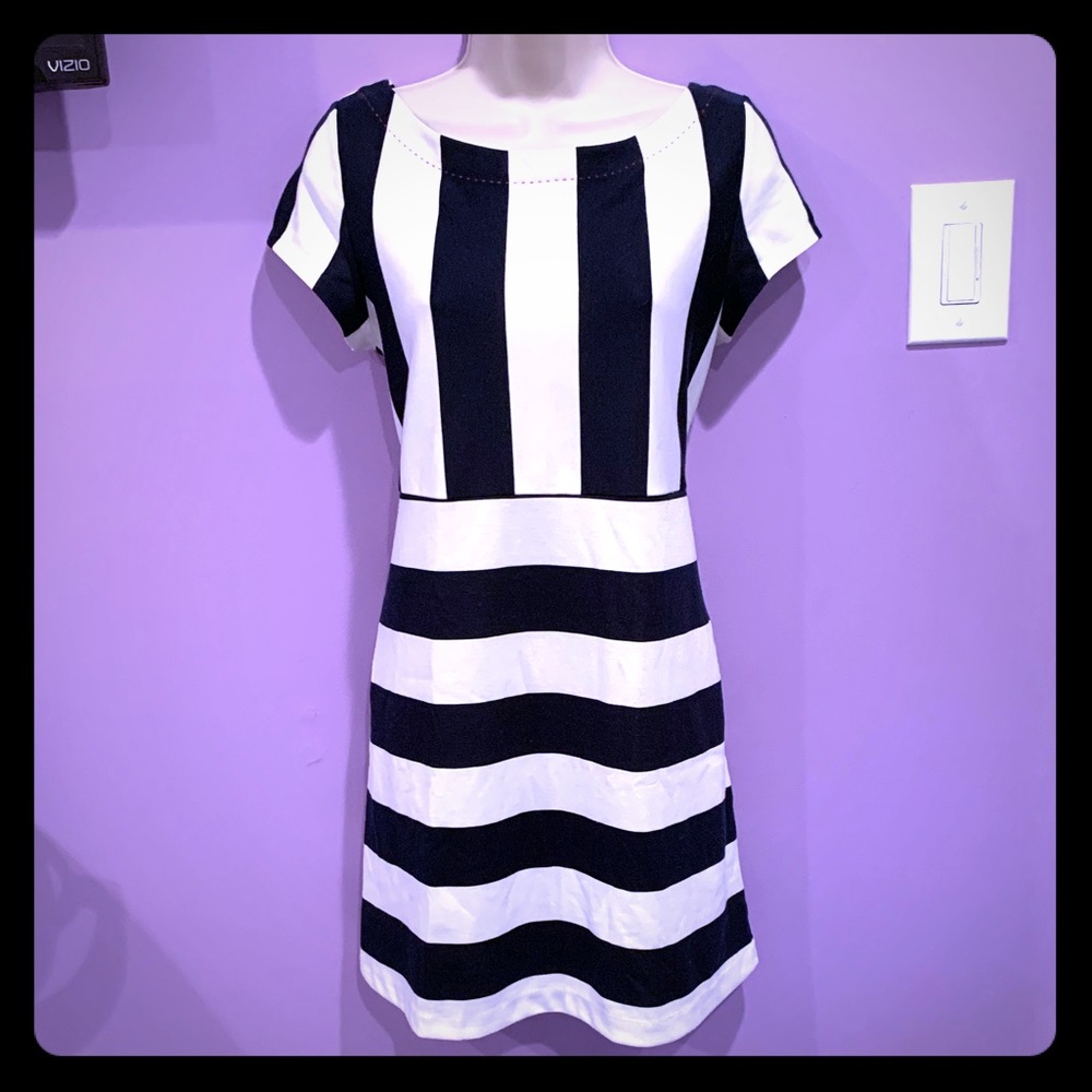 Anthropologie Navy White dress with pockets